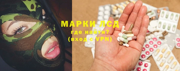 mdpv Бородино