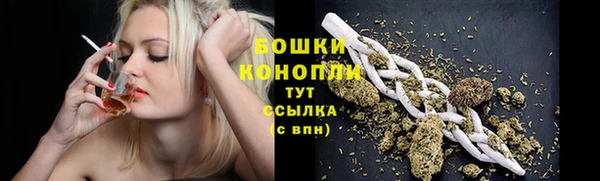 mdpv Бородино