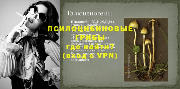 mdpv Бородино