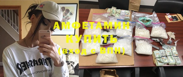 mdpv Бородино