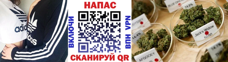 Конопля конопля  Энгельс 
